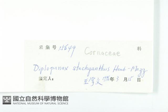 馬蹄參藏品圖，第3張