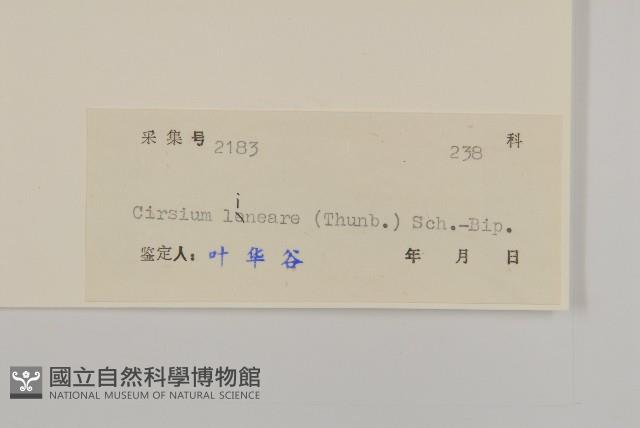 華薊藏品圖，第3張