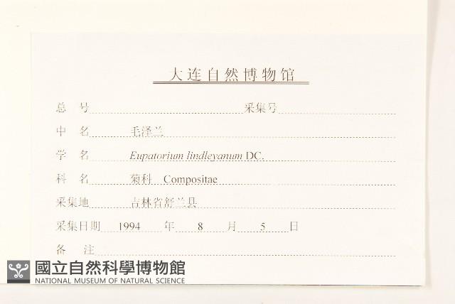 林氏澤蘭藏品圖，第3張