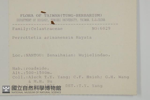 佩羅特木藏品圖，第2張