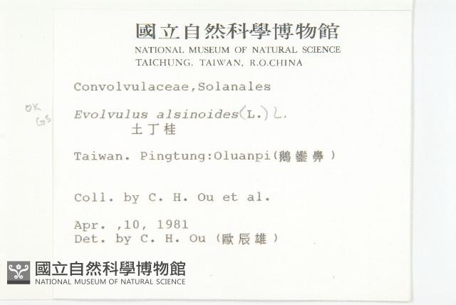 土丁桂藏品圖，第2張