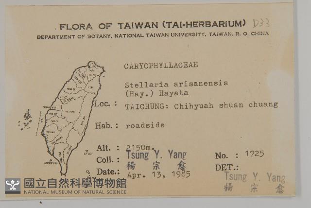 阿里山繁縷藏品圖，第2張