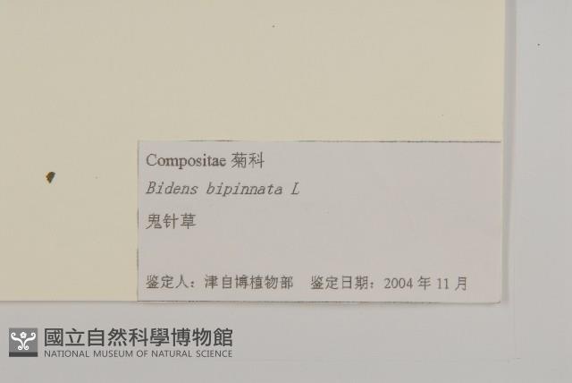 鬼針藏品圖，第3張