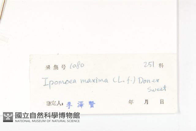 登錄號:S032754藏品圖，第3張