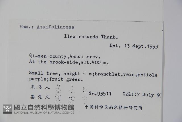 鐵冬青藏品圖，第2張