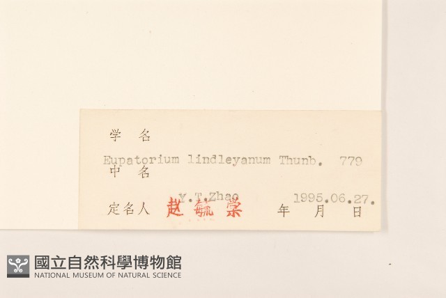 林氏澤蘭藏品圖，第3張