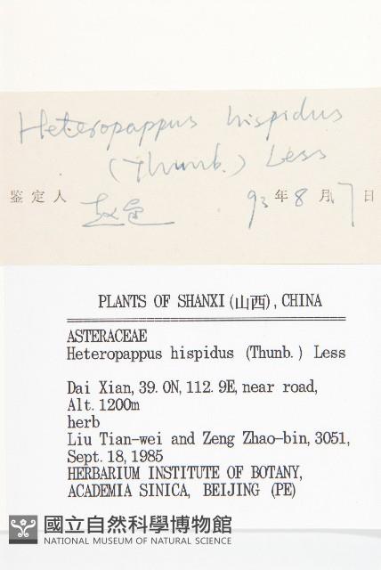 狗娃花藏品圖，第3張