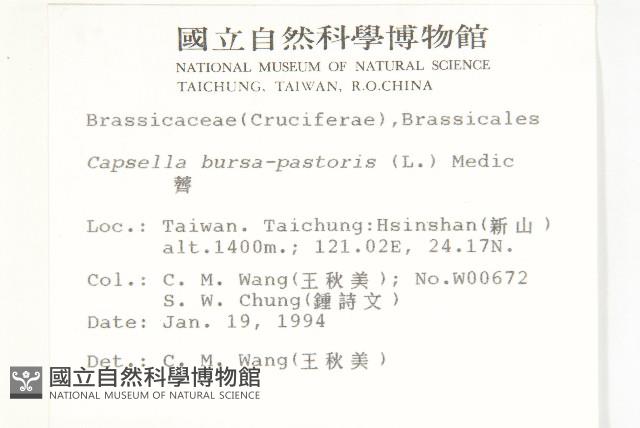 薺藏品圖，第2張