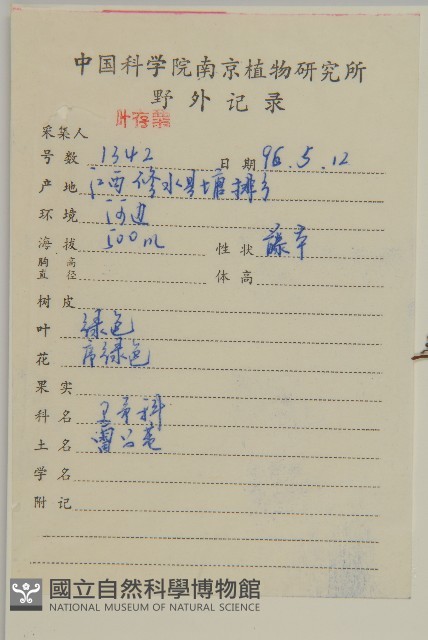 雷公藤藏品圖，第2張