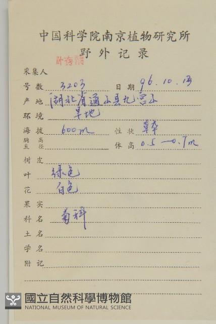 加拿大蓬藏品圖，第2張