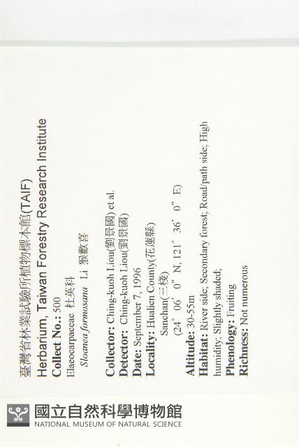 猴歡喜藏品圖，第2張