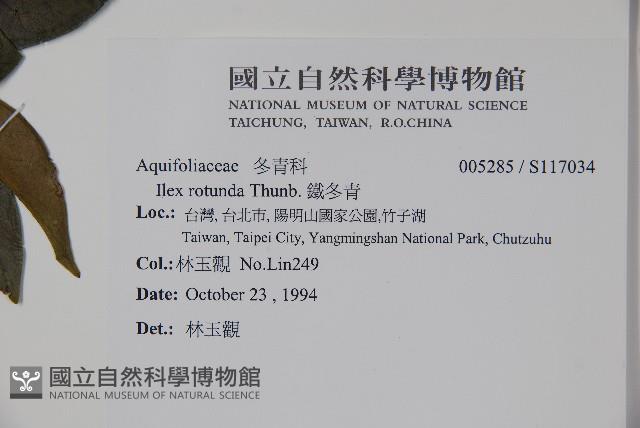 鐵冬青藏品圖，第2張