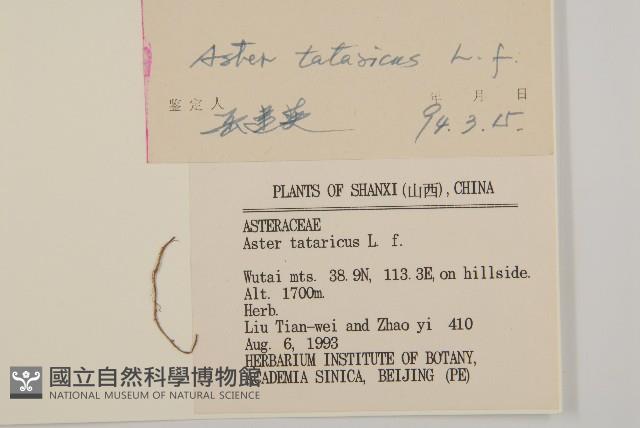 Accession Number:S035734 Collection Image, Figure 3, Total 3 Figures