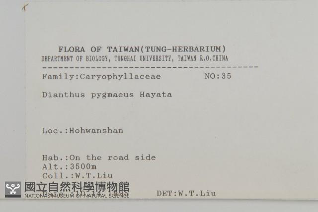 玉山石竹藏品圖，第2張