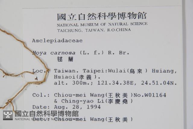 毬蘭藏品圖，第2張