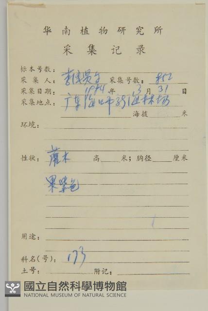 北仲, 刺裸實藏品圖，第2張