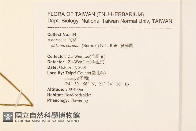 蔓澤蘭藏品圖，第2張