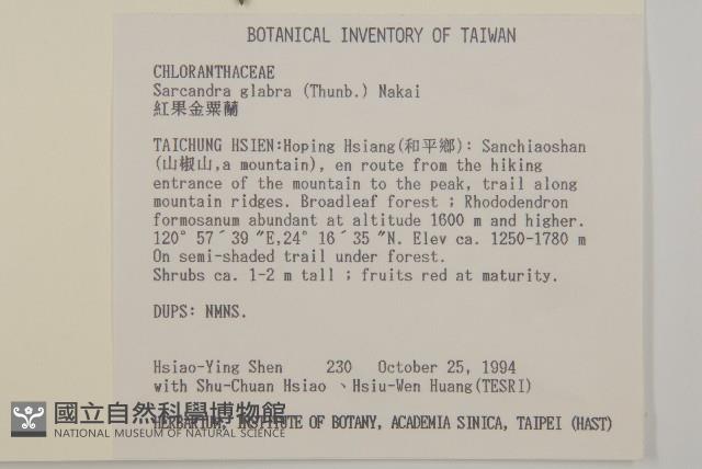 草珊瑚、紅果金粟蘭藏品圖，第2張