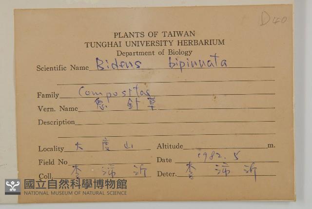 鬼針藏品圖，第2張