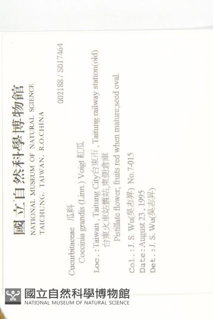 紅瓜藏品圖，第2張