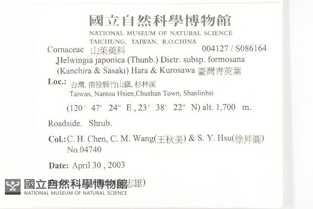 臺灣青莢葉藏品圖，第2張