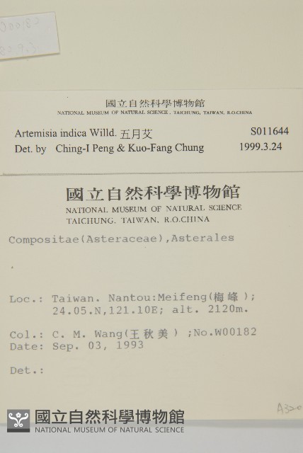 中南蒿藏品圖，第2張