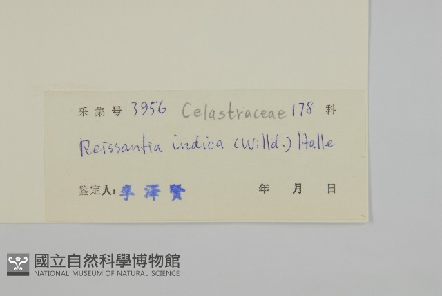 登錄號:S033244藏品圖，第3張