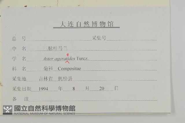 山白蘭藏品圖，第3張