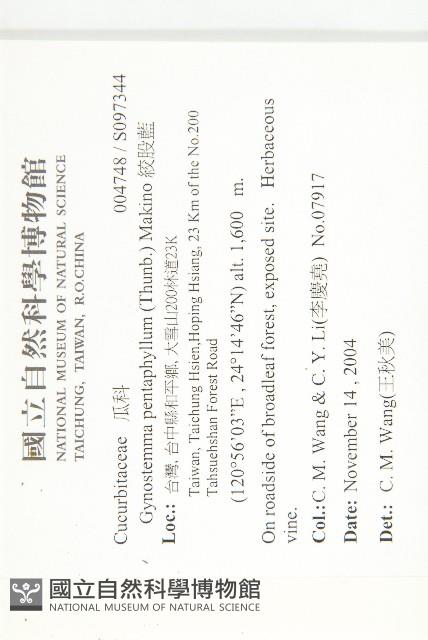 絞股藍藏品圖，第2張