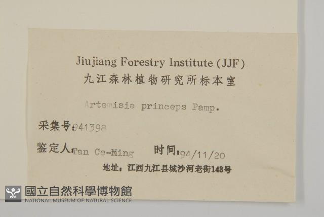 魁蒿藏品圖，第3張