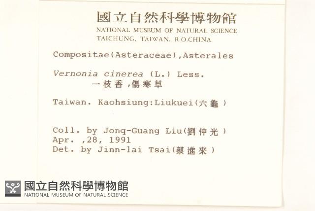 一枝香藏品圖，第2張