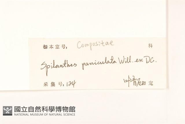 金鈕釦藏品圖，第3張