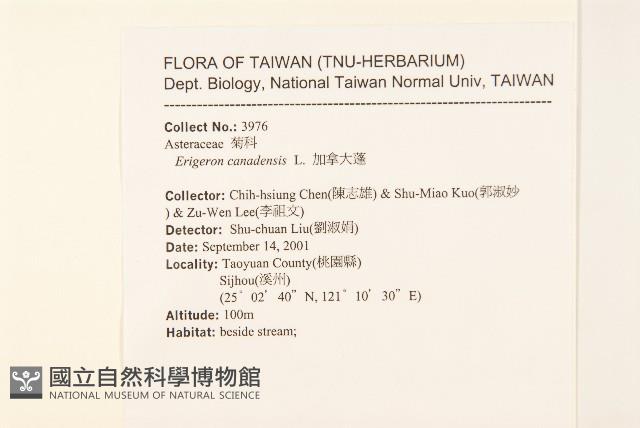 加拿大蓬藏品圖，第2張