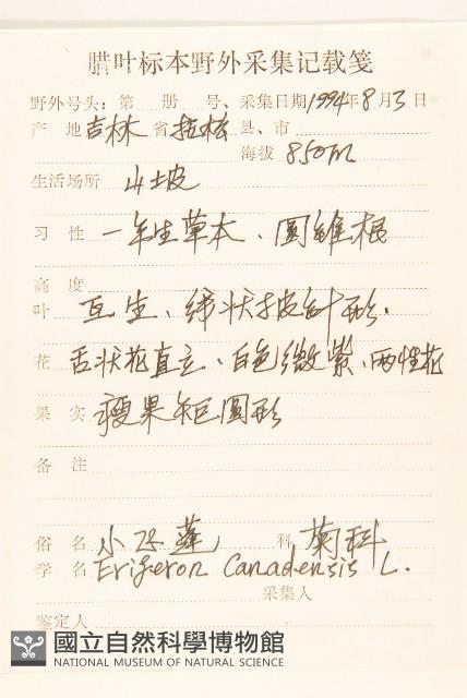 加拿大蓬藏品圖，第2張