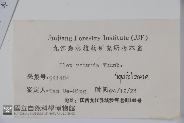 鐵冬青藏品圖，第2張