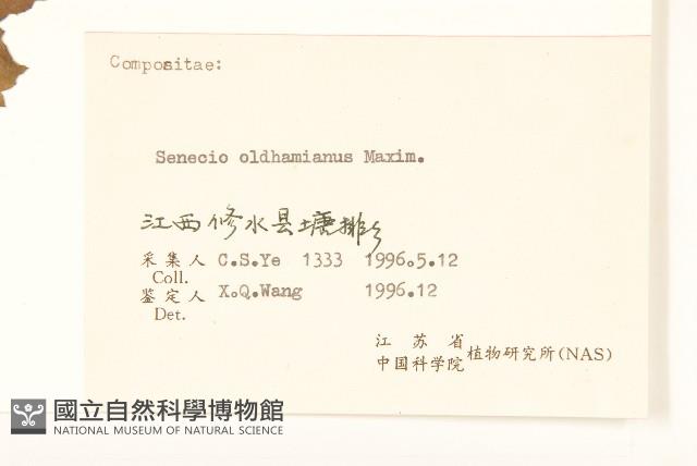 蒲兒根藏品圖，第3張