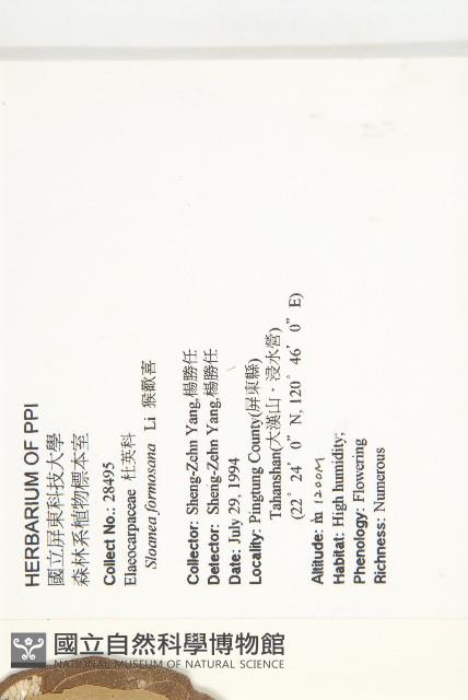 猴歡喜藏品圖，第2張