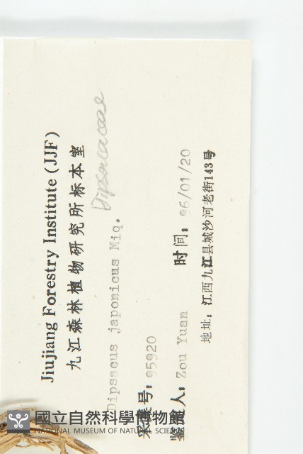 續斷藏品圖，第3張