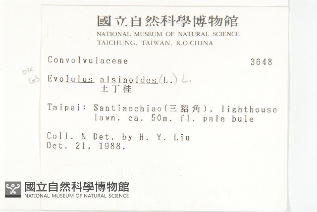 土丁桂藏品圖，第2張