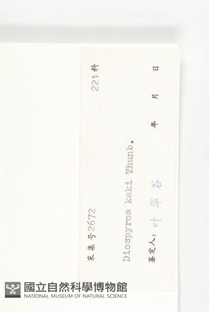 柿、柿仔、紅柿藏品圖，第3張