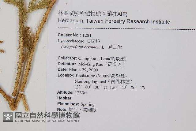 過山龍藏品圖，第2張