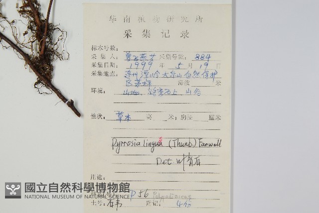 石葦藏品圖，第2張