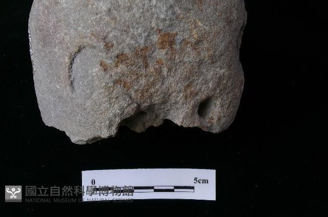 石鎚藏品圖，第3張