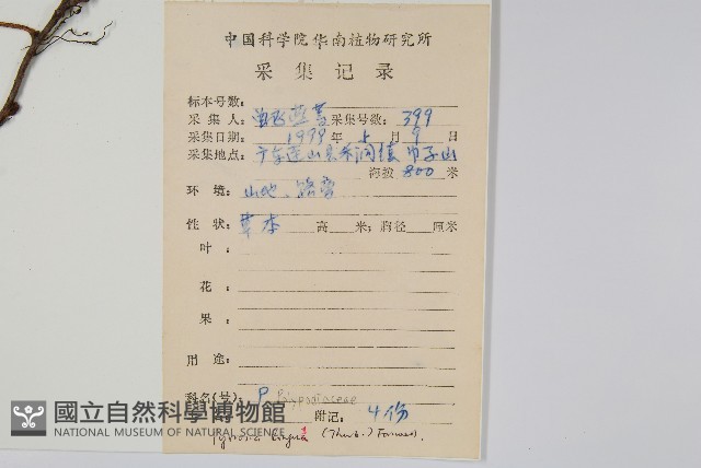 石葦藏品圖，第2張