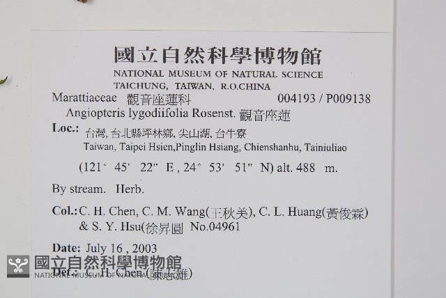 觀音座蓮藏品圖，第2張