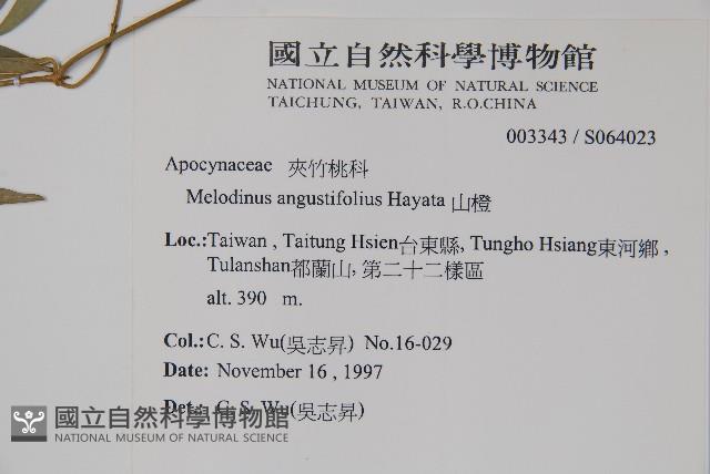 山橙藏品圖，第2張