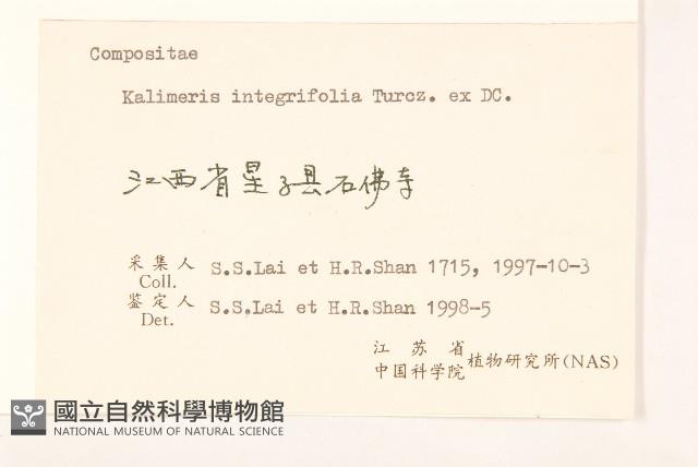 全葉馬蘭藏品圖，第3張