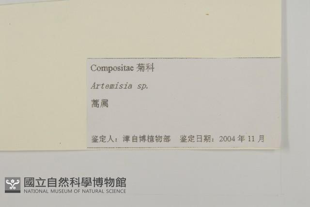 登錄號:S105223藏品圖，第3張