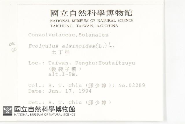 土丁桂藏品圖，第2張