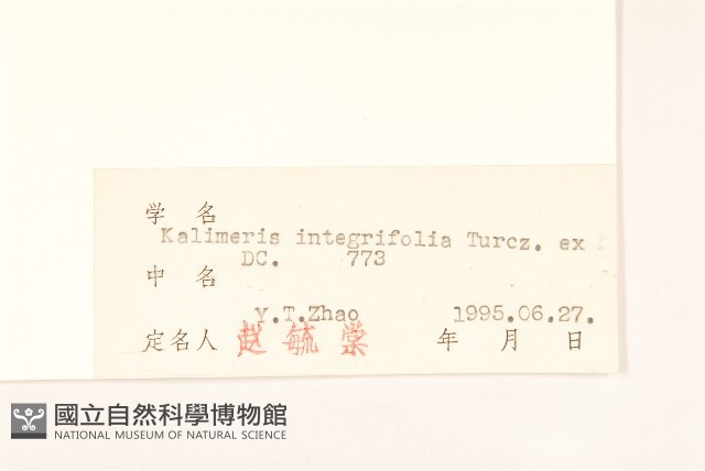 全葉馬蘭藏品圖，第3張